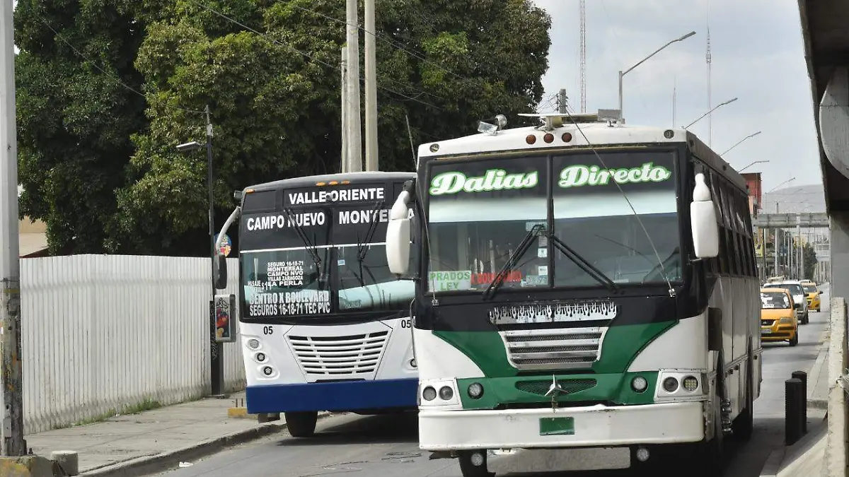 19 Apoyo municipal para climatizar 100 nuevos autobuses2